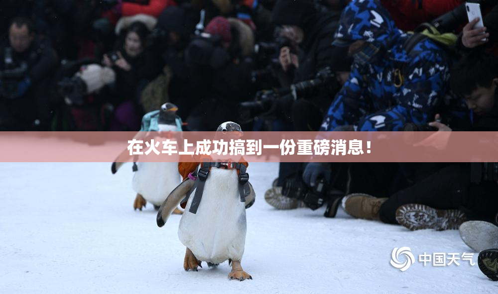 在火车上成功搞到一份重磅消息！