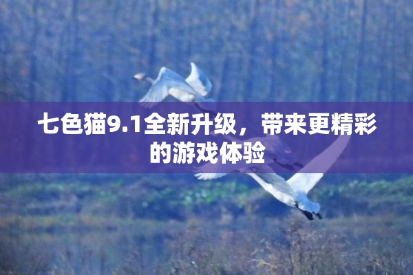 七色猫9.1全新升级，带来更精彩的游戏体验
