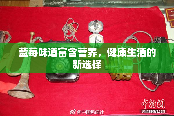 蓝莓味道富含营养，健康生活的新选择