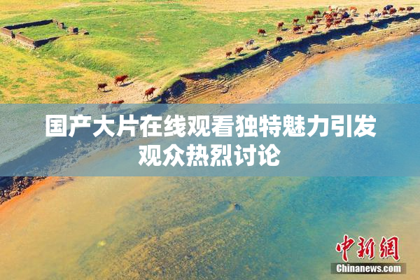 国产大片在线观看独特魅力引发观众热烈讨论