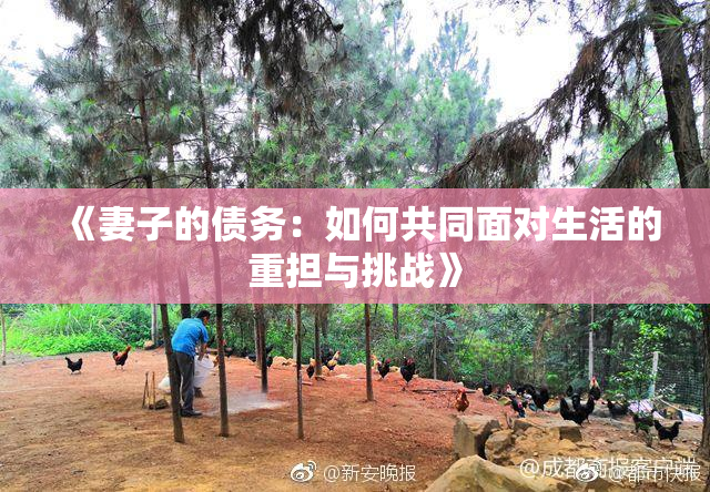 《妻子的债务：如何共同面对生活的重担与挑战》