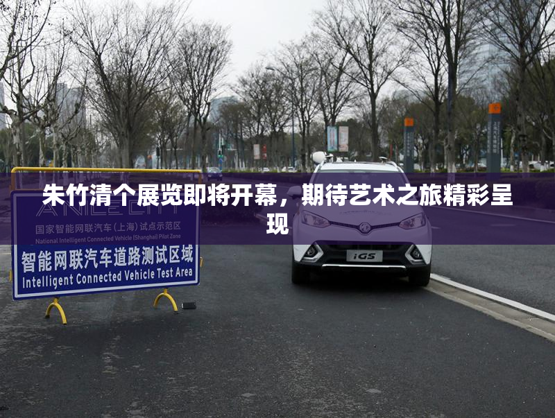 朱竹清个展览即将开幕，期待艺术之旅精彩呈现