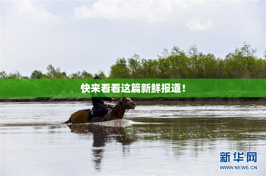 快来看看这篇新鲜报道！