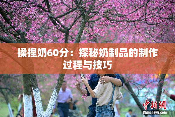 揉捏奶60分：探秘奶制品的制作过程与技巧
