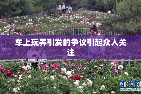 车上玩弄引发的争议引起众人关注