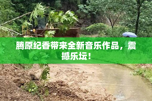 腾原纪香带来全新音乐作品，震撼乐坛！