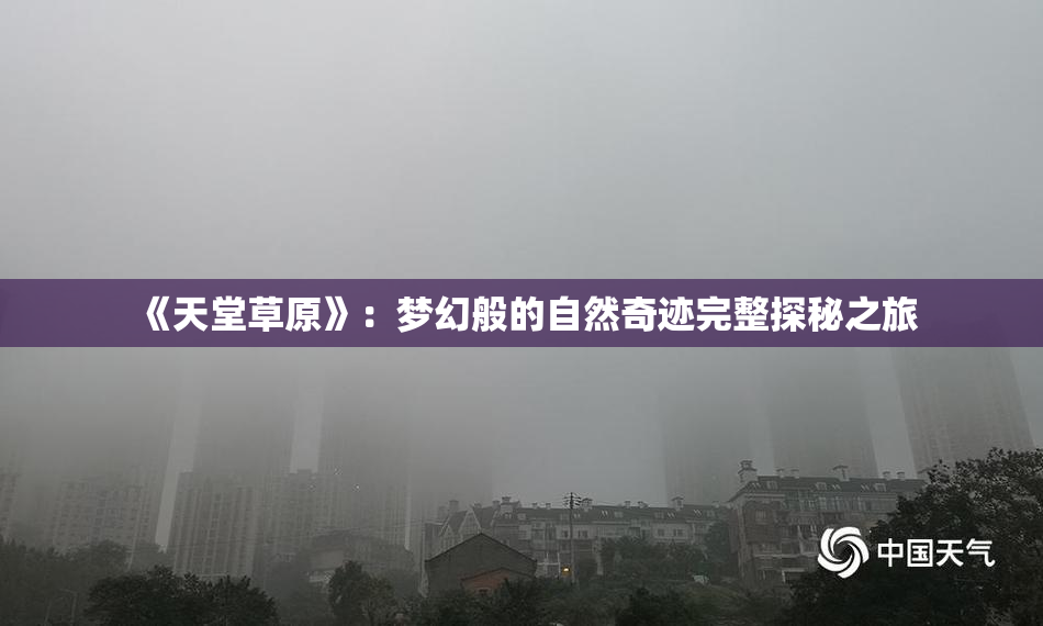 《天堂草原》：梦幻般的自然奇迹完整探秘之旅