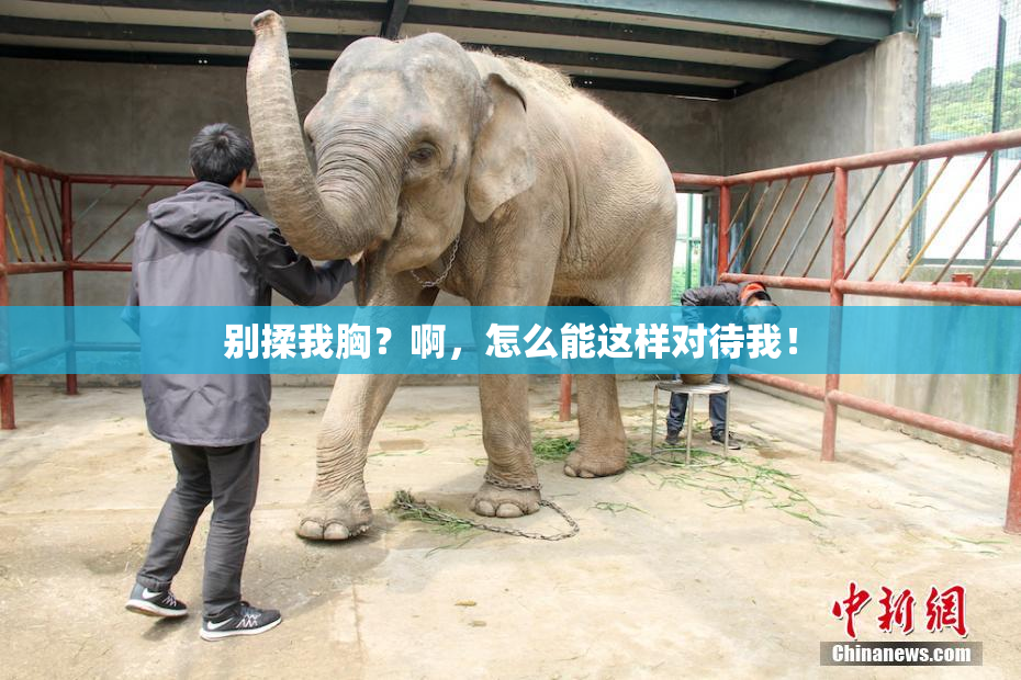 别揉我胸？啊，怎么能这样对待我！