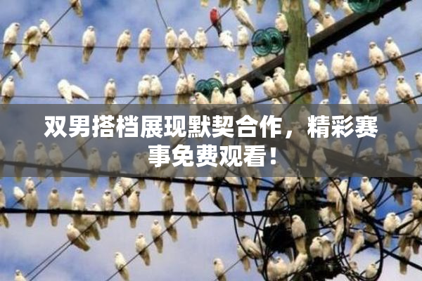 双男搭档展现默契合作，精彩赛事免费观看！