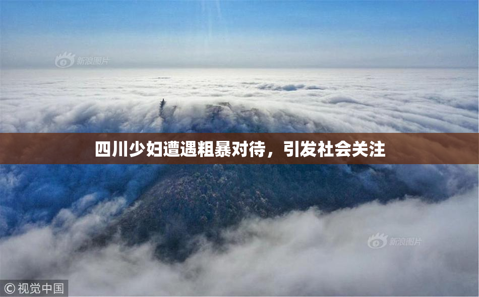 四川少妇遭遇粗暴对待，引发社会关注