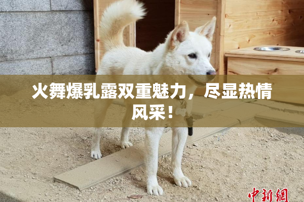 火舞爆乳露双重魅力，尽显热情风采！