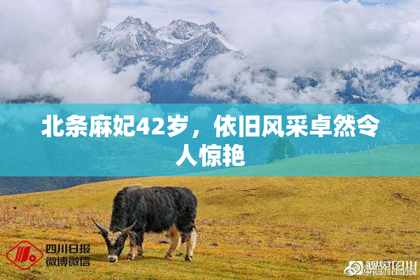 北条麻妃42岁，依旧风采卓然令人惊艳