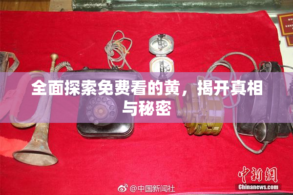 全面探索免费看的黄，揭开真相与秘密