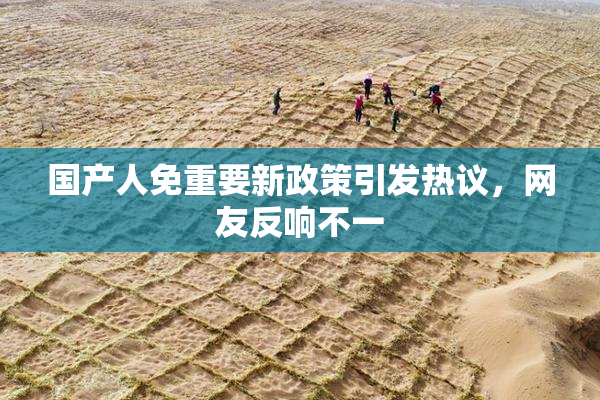 国产人免重要新政策引发热议，网友反响不一