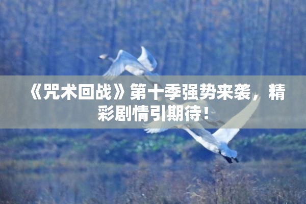《咒术回战》第十季强势来袭，精彩剧情引期待！