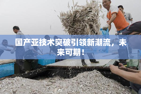 国产亚技术突破引领新潮流，未来可期！