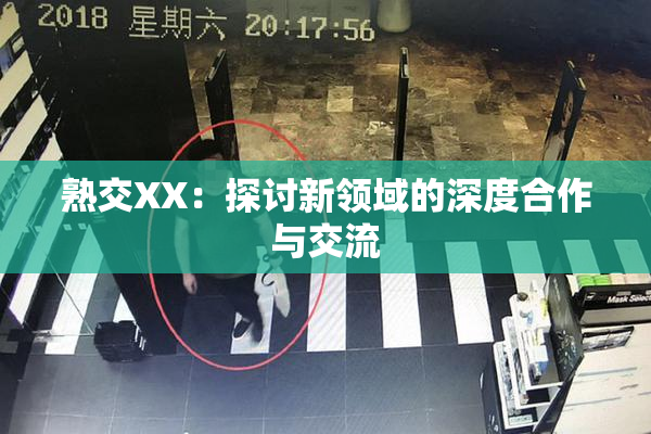 熟交XX：探讨新领域的深度合作与交流