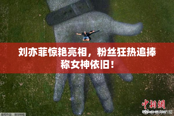 刘亦菲惊艳亮相，粉丝狂热追捧称女神依旧！