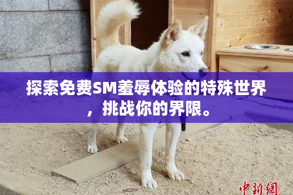 探索免费SM羞辱体验的特殊世界，挑战你的界限。