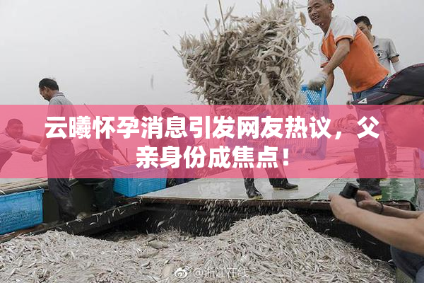 云曦怀孕消息引发网友热议，父亲身份成焦点！