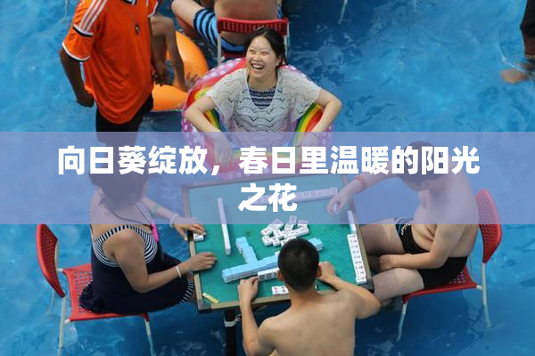 向日葵绽放，春日里温暖的阳光之花