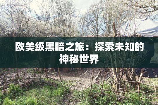 欧美级黑暗之旅：探索未知的神秘世界