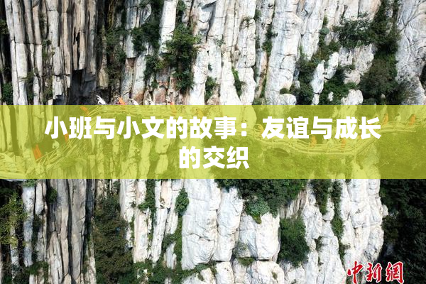 小班与小文的故事：友谊与成长的交织