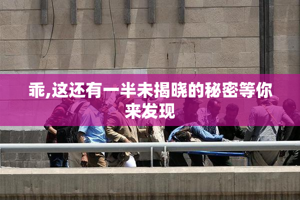 乖,这还有一半未揭晓的秘密等你来发现