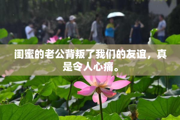 闺蜜的老公背叛了我们的友谊，真是令人心痛。