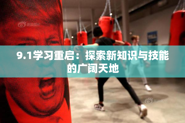 9.1学习重启：探索新知识与技能的广阔天地