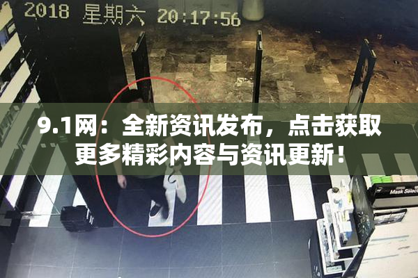 9.1网：全新资讯发布，点击获取更多精彩内容与资讯更新！