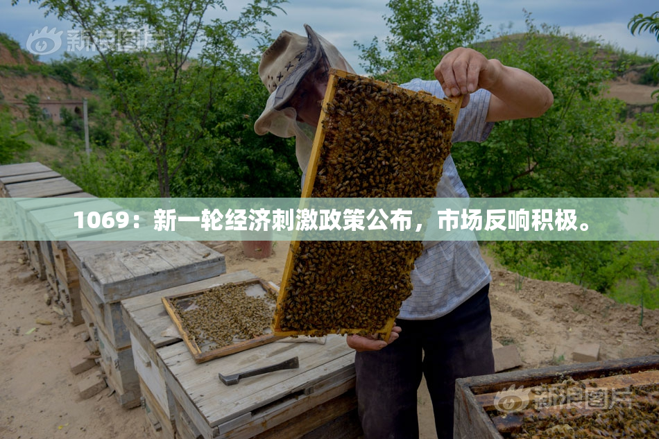 1069：新一轮经济刺激政策公布，市场反响积极。