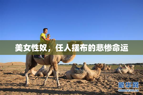 美女性奴，任人摆布的悲惨命运