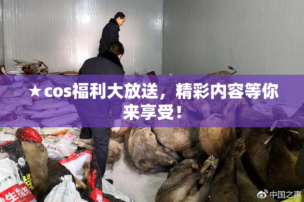★cos福利大放送，精彩内容等你来享受！