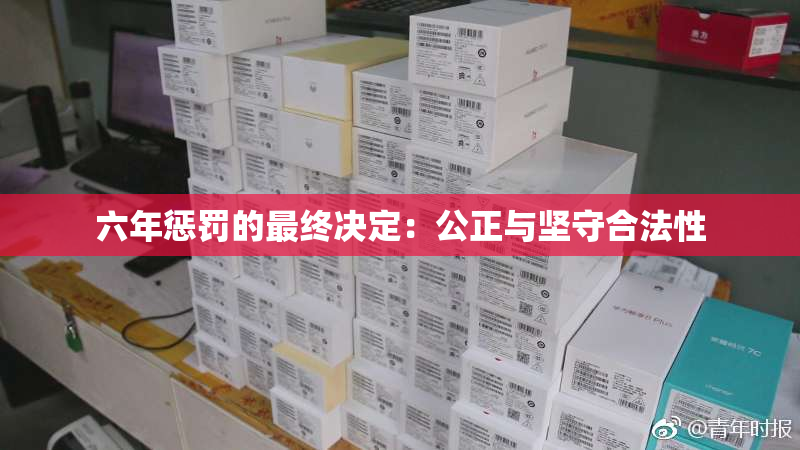 六年惩罚的最终决定：公正与坚守合法性