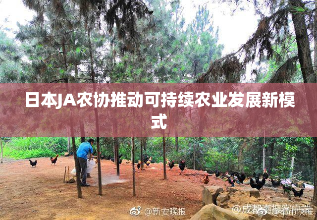 日本JA农协推动可持续农业发展新模式