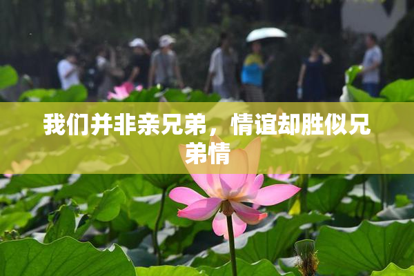 我们并非亲兄弟，情谊却胜似兄弟情
