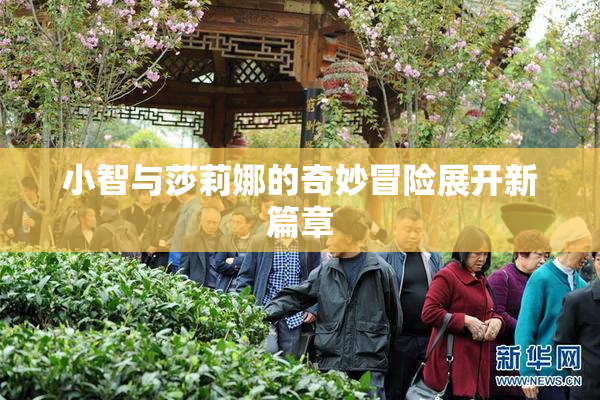 小智与莎莉娜的奇妙冒险展开新篇章