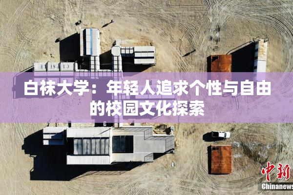 白袜大学：年轻人追求个性与自由的校园文化探索