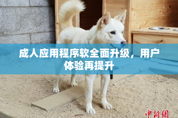 成人应用程序软全面升级，用户体验再提升