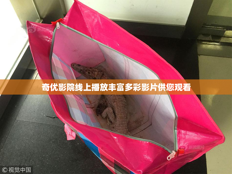 奇优影院线上播放丰富多彩影片供您观看