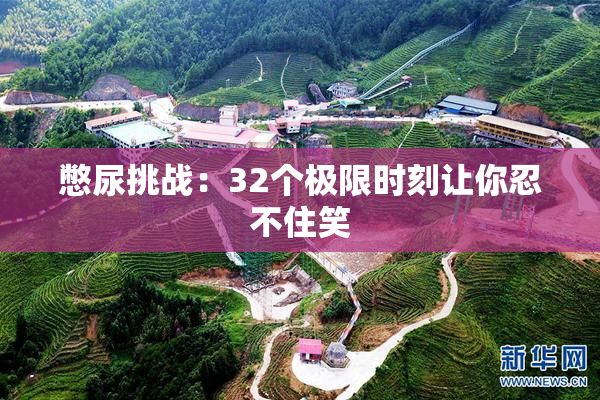 憋尿挑战：32个极限时刻让你忍不住笑