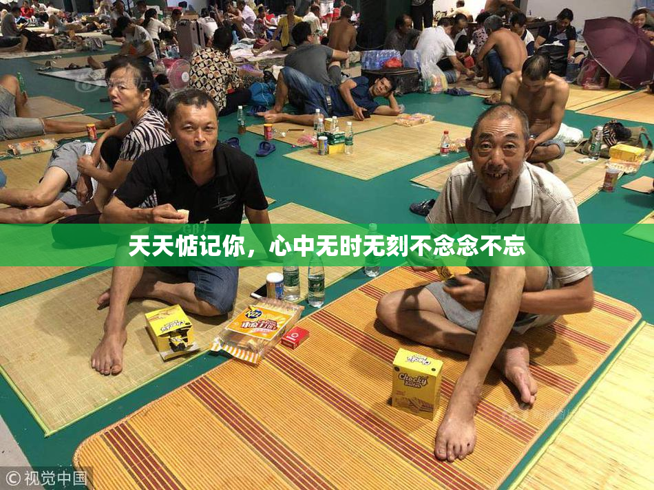 天天惦记你，心中无时无刻不念念不忘