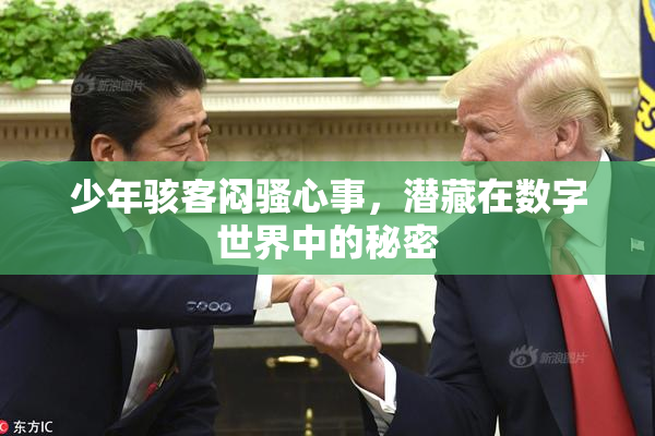 少年骇客闷骚心事，潜藏在数字世界中的秘密