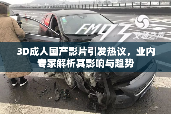3D成人国产影片引发热议，业内专家解析其影响与趋势