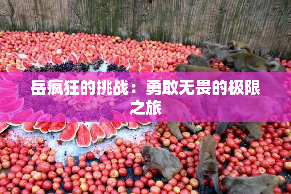 岳疯狂的挑战：勇敢无畏的极限之旅
