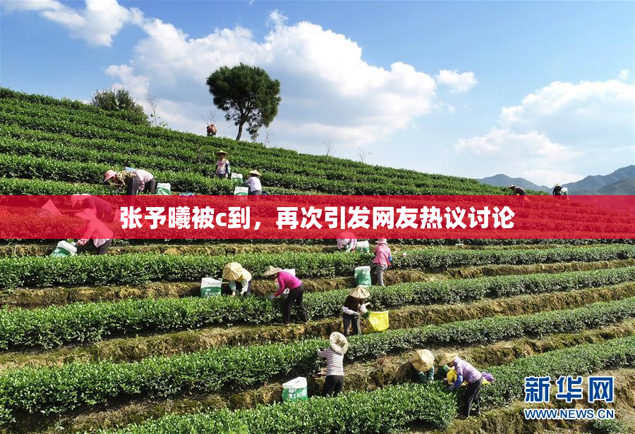 张予曦被c到，再次引发网友热议讨论