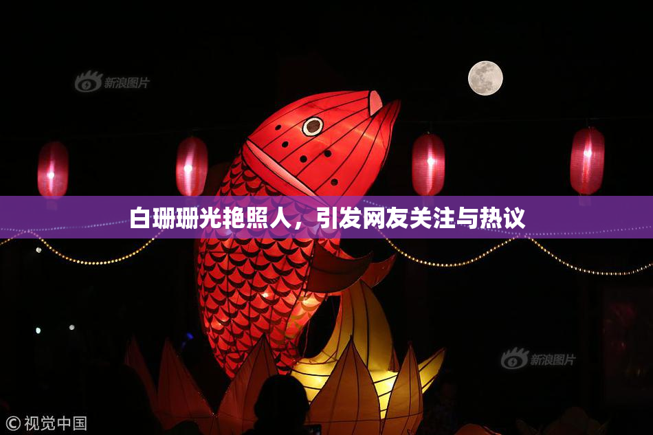 白珊珊光艳照人，引发网友关注与热议
