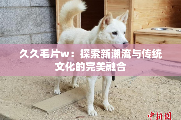 久久毛片w：探索新潮流与传统文化的完美融合