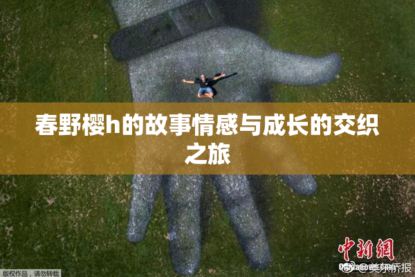 春野樱h的故事情感与成长的交织之旅